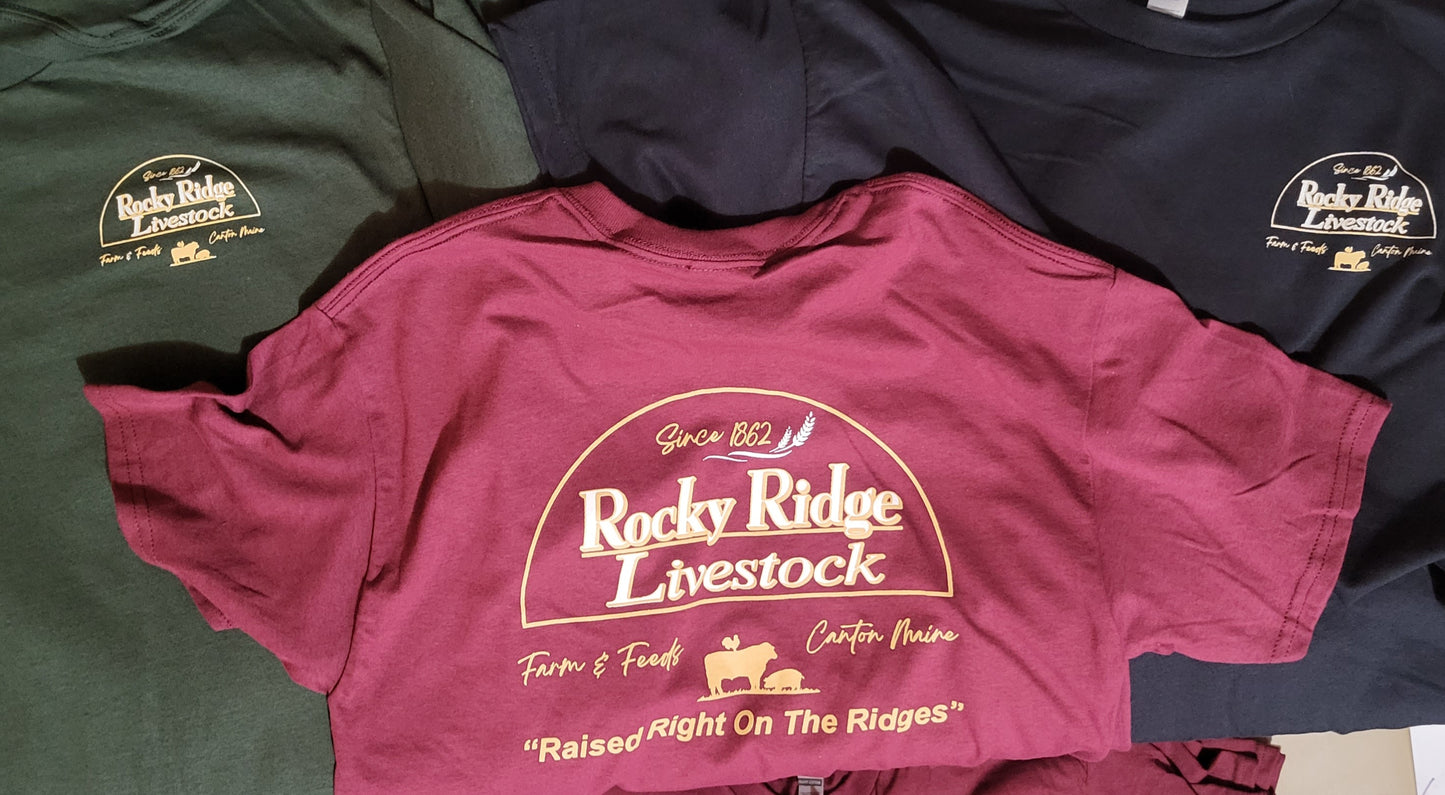 Short Sleeve T Shirt