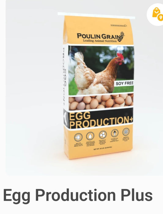 Egg Production Plus