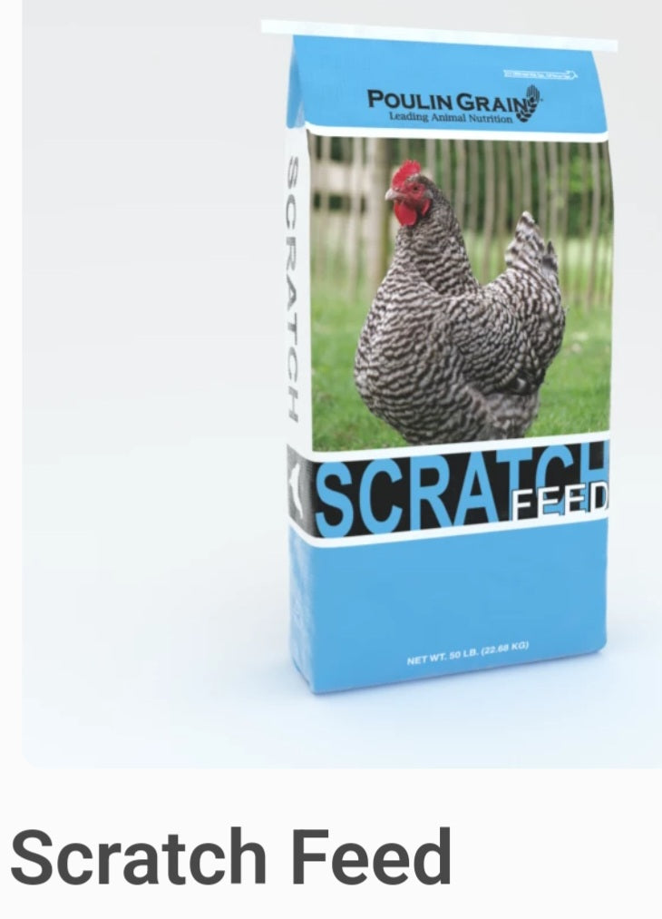 Scratch Feed