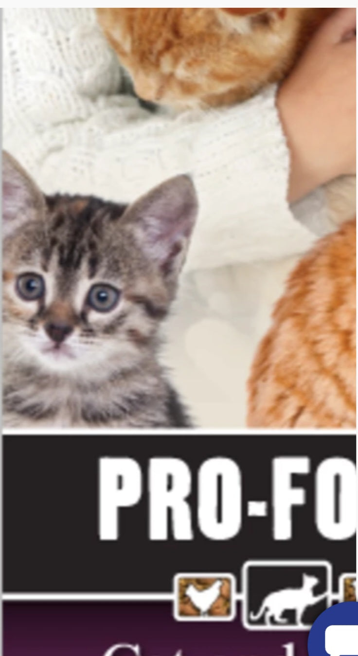 Pro-Form Cat & Kitten Food