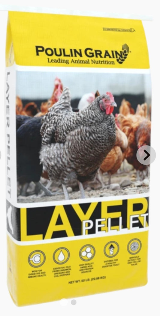 Premium Layer Pellets