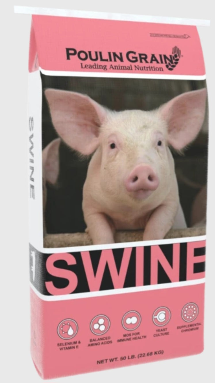 Pig Starter