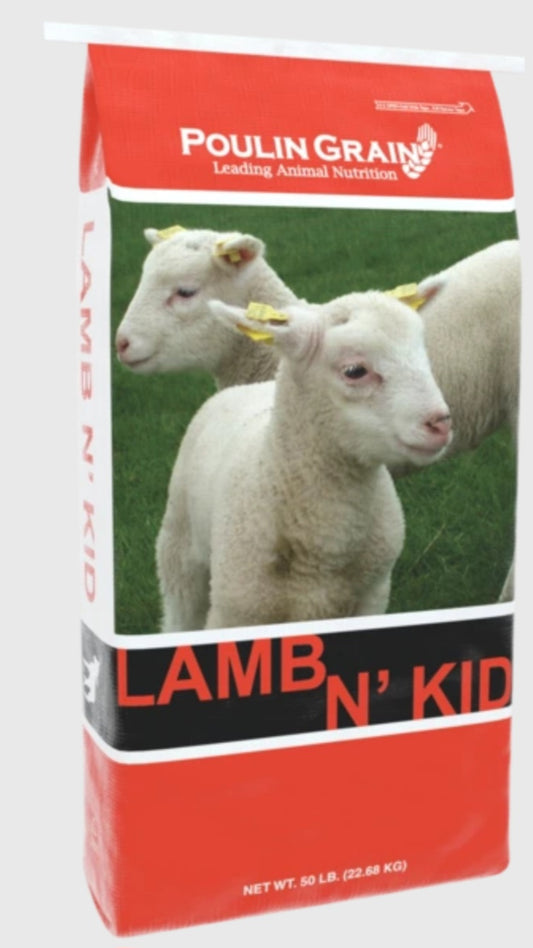 Lamb N' Kid Starter Pellet
