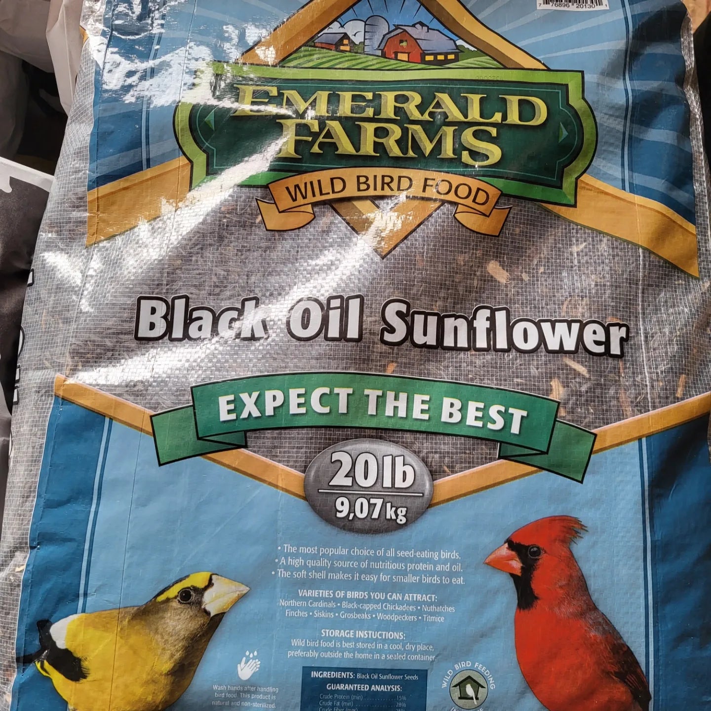 Black Oil Bird seed