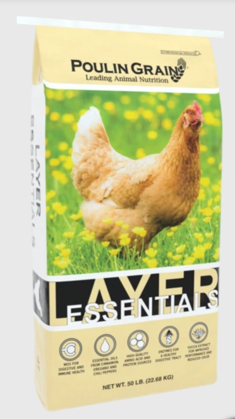 Layer Pellet Essentials