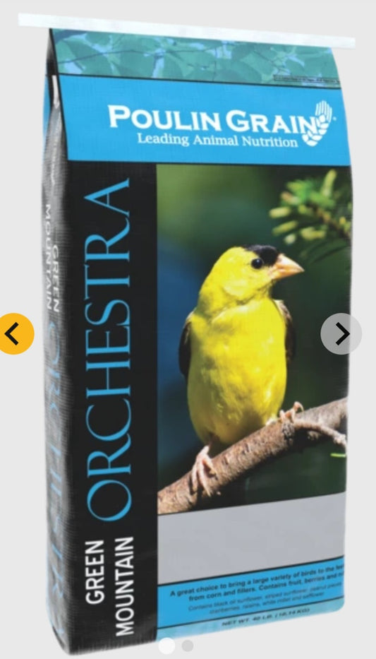 Green Mountain Orchestra