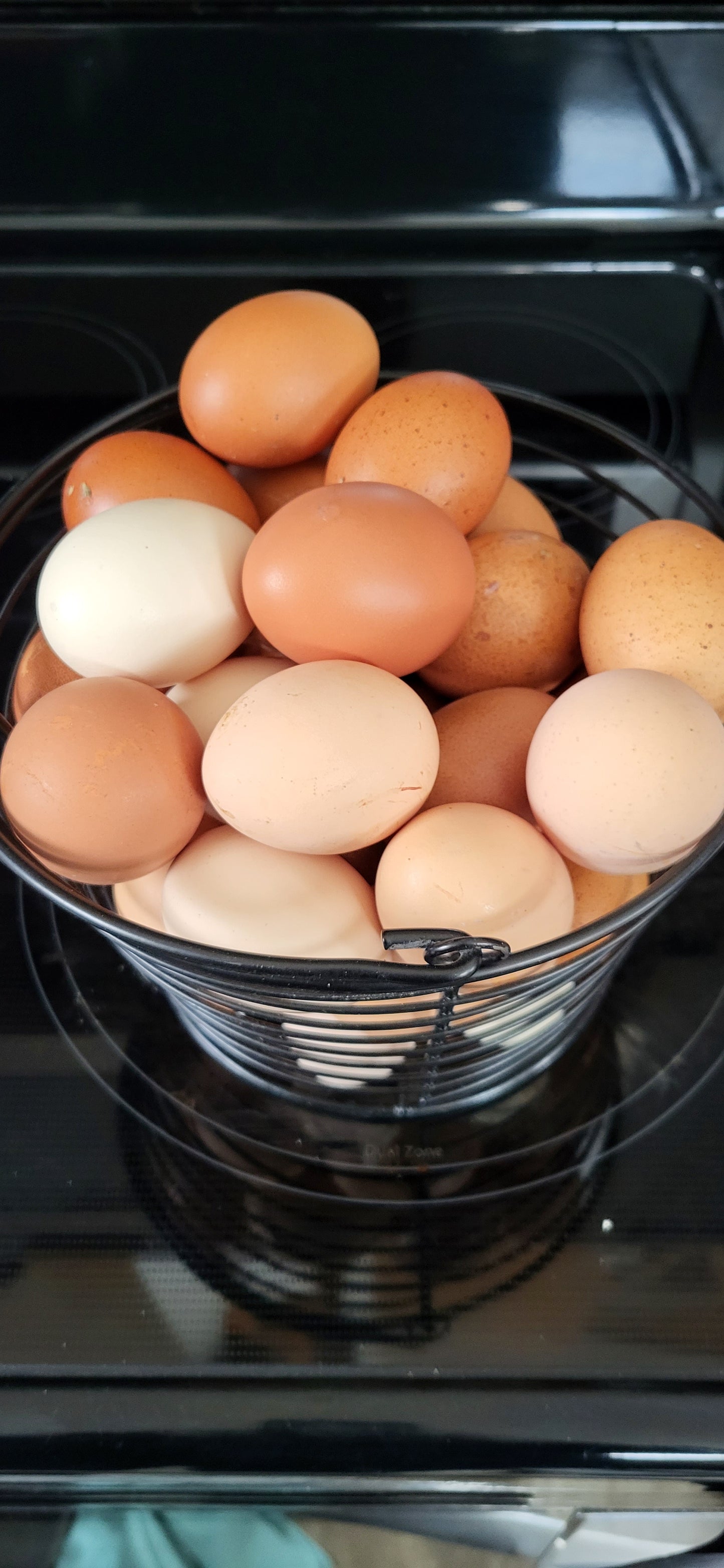 Fresh Eggs