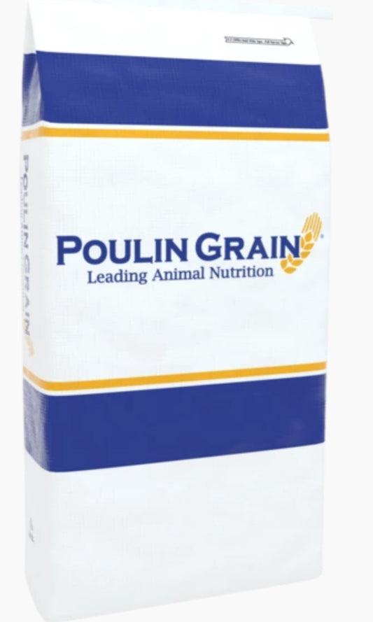 Trace Mineral Salt Bagged