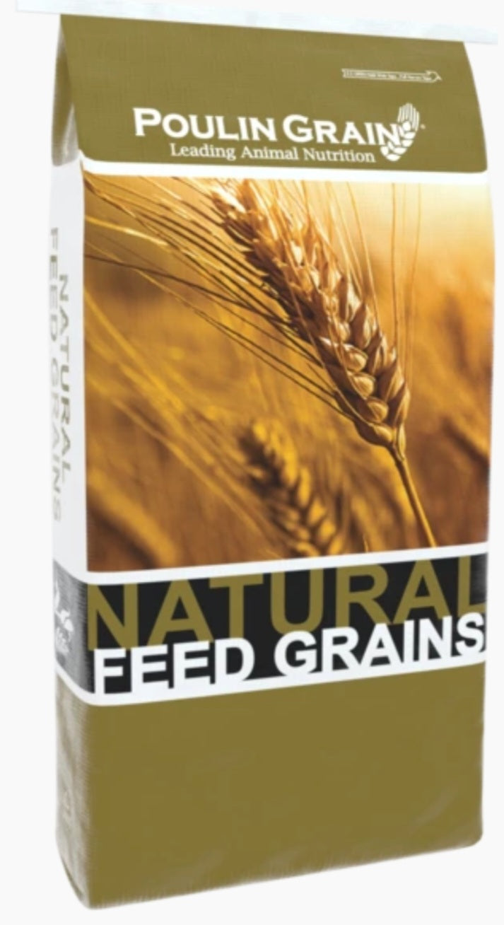 Golden Select Whole Oats