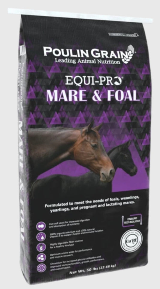 Equi-Pro Mare & Foal